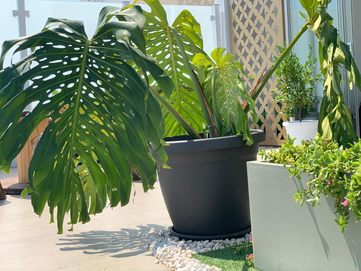 Dalu Suite Terrace Bari Extérieur photo